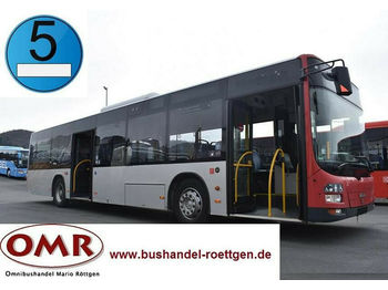City bus MAN A37 Lion´s City/A20/A21/530/Citaro/EEV: picture 1