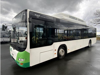 Suburban bus MAN A 21 Lion’s City CNG: picture 2