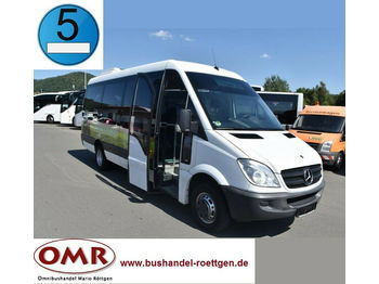 Minibus, Passenger van Mercedes-Benz 516 CDI Sprinter/Crafter/Master/Klima/Euro 5: picture 1
