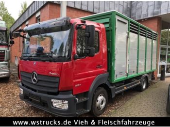 Mercedes-Benz 824L WST Edition"  Einstock Vollalu  - Box van
