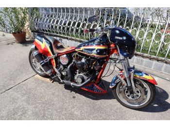  Motorrad (L3) Harley Davidson Lowrider FLR1200 - Car