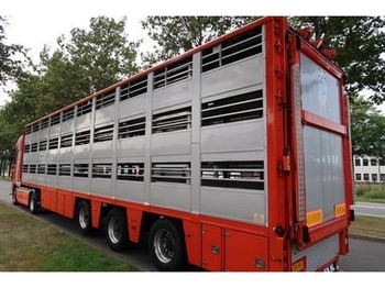 Livestock semi-trailer Berdex OS.1227: picture 1