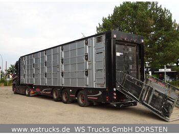 Finkl 3 Stock  Vollausstattung Hubdach  - livestock semi-trailer