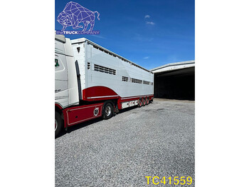 Pezzaioli Animal Transport - livestock semi-trailer