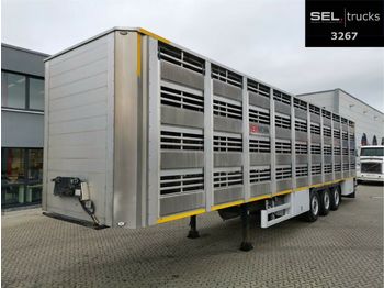 Pezzaioli CIMC / SR03 / 4 Stock / Typ 2 / Ferkeltransporte  - Livestock semi-trailer