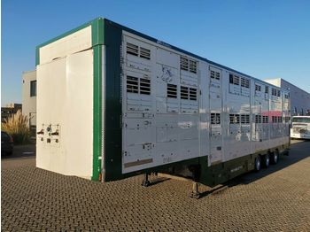 Pezzaioli Michieletto SM39 / 3 Stock / Thermoking  - Livestock semi-trailer
