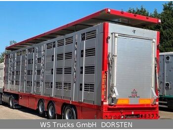 Livestock semi-trailer Menke-Janzen 4 Stock Vollalu Typ 2 Lenkachse: picture 1