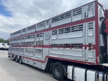 Livestock semi-trailer Pezzaioli , 3 Stock , Viehtransporter  , Tränkeranlage, 2 Stück: picture 1