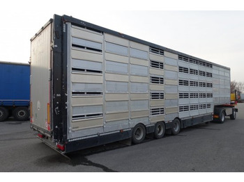 Livestock semi-trailer Pezzaioli SBA32/G , 5 Stock , Viehtransporter  , Tränkeranlage,: picture 4