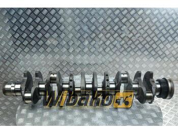 Crankshaft for Construction machinery Deutz BF6M1013/TCD2013 L06 2V 04501008/04294255/04284997/02931508/04209125R: picture 1