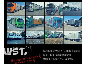 Menke-Janzen Menke 3 Stock  Vollalu 7,50m Hubdach  - Livestock trailer