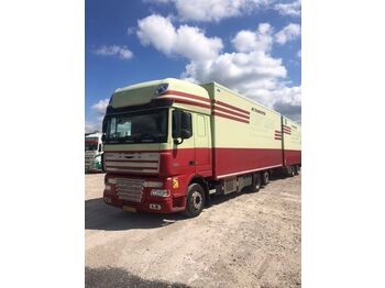 Refrigerator truck DAF XF 105: picture 1
