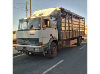 IVECO 175.24 Turbo left hand drive 19 ton Manual Cattle - Livestock truck