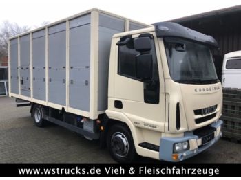 Iveco 100E22 mit Einstock  Baujahr 2013  - Livestock truck