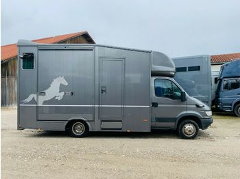 Livestock truck Iveco Pferdetransporter