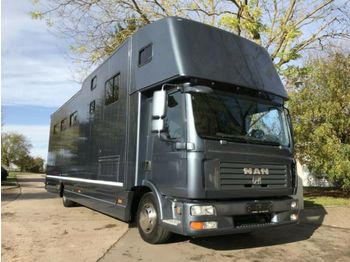 Livestock truck MAN Pferdetransporter