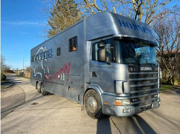 Livestock truck Scania Pferdetransporter