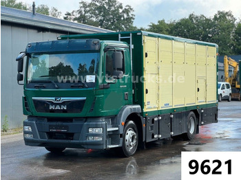 Livestock truck MAN TGM 15.290