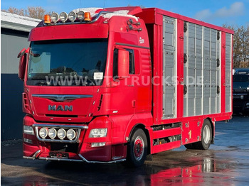Livestock truck MAN TGX 18.580 Euro 6 3.Stock FINKL Hubdach,Tränke: picture 1