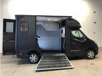 Horse truck RENAULT Paragan Equistar LKW: picture 4