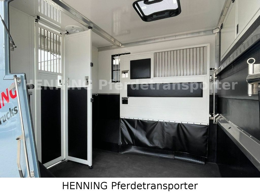 Horse truck, Commercial vehicle Renault Master *3-Sitzer* *KURZ*: picture 6