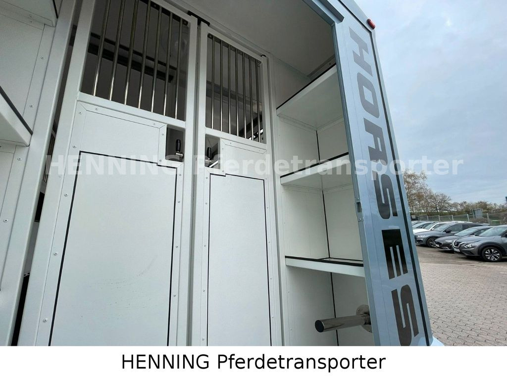 Horse truck, Commercial vehicle Renault Master *3-Sitzer* *KURZ*: picture 10