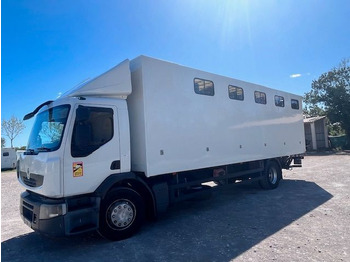 Horse truck RENAULT Premium 280