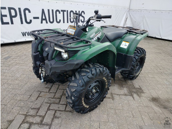 Yamaha Grizzly 450 - Side-by-side/ ATV: picture 1
