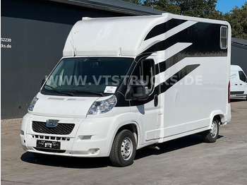 Peugeot Boxer 250 L 2.Pferdetransporter - Horse truck: picture 1