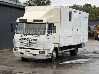 Mercedes-Benz 814 Pferdetransporter  - Horse truck: picture 1