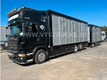 Scania R730 V8 6x2 2.Stock Stehmann + Viehanhänger - Livestock truck: picture 1