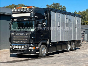 Scania R730 V8 6x2 2.Stock Stehmann + Hubdach, Vollluft - Livestock truck: picture 1