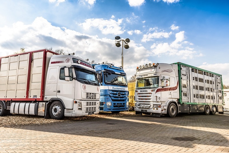 WS Trucks GmbH - Commercial vehicles - Year: 2013 undefined: picture 1