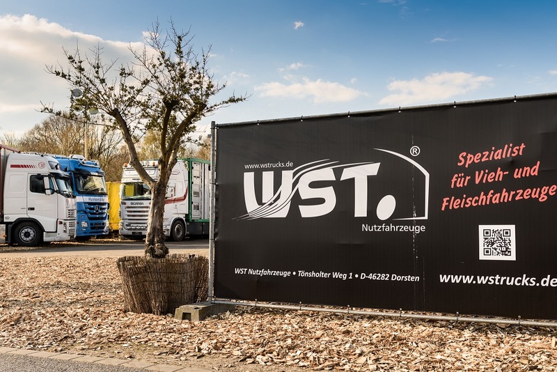 WS Trucks GmbH - Commercial vehicles - Year: 2013 undefined: picture 4