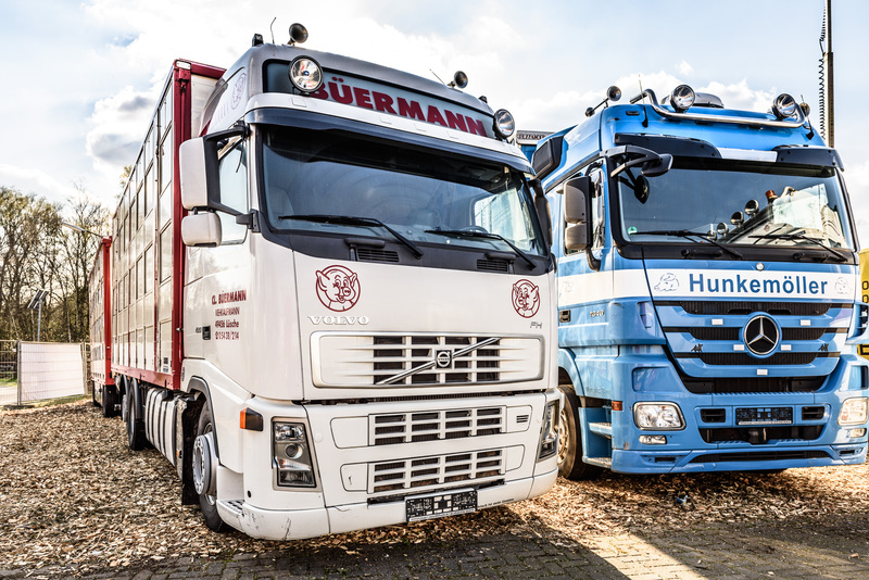 WS Trucks GmbH - Commercial vehicles - Year: 2013 undefined: picture 2