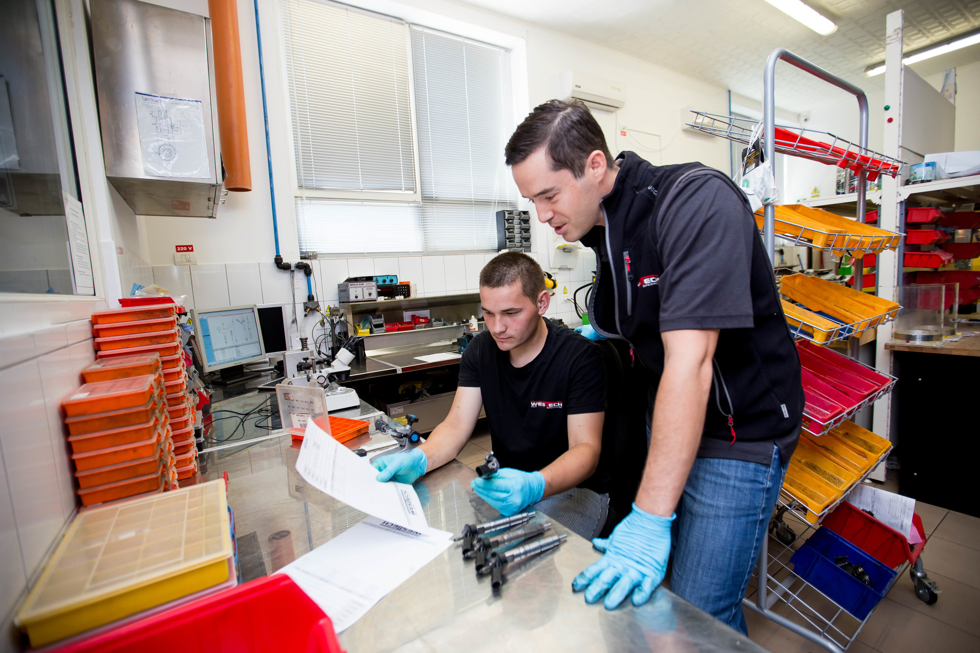 WEST TECH DIESEL SRL - Spare parts DENSO undefined: picture 9