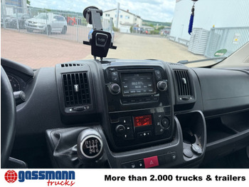 Open body delivery van, Combi van Peugeot Boxer 4x2 Doka: picture 3