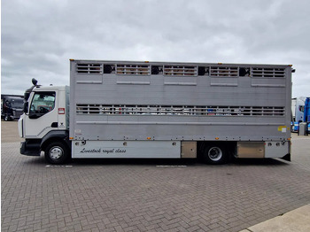 New Livestock truck Renault Midlum D210 4x2 - NEW - Pezzaioli 1 deck - Ventilation - 17.9M2 - Ramp - Euro6d: picture 5 New Livestock truck Renault Midlum D210 4x2 - NEW - Pezzaioli 1 deck - Ventilation - 17.9M2 - Ramp - Euro6d: picture 5