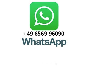 Leasing of  MAN TGS 18.360 4x4 Winterdienst Meiller Abroller MAN TGS 18.360 4x4 Winterdienst Meiller Abroller: picture 2