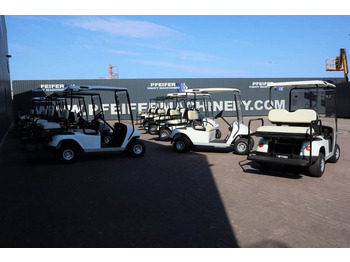 Golf cart BRINGO DG-C2 Valid Inspection, *Guarantee! Dutch R: picture 4