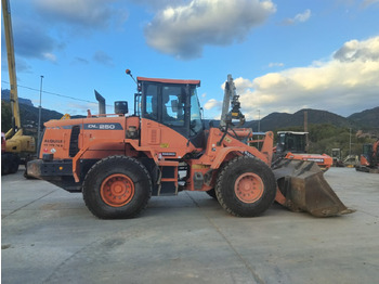 Wheel loader DOOSAN DL250