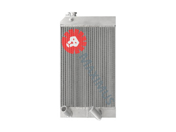 Radiator DIECI