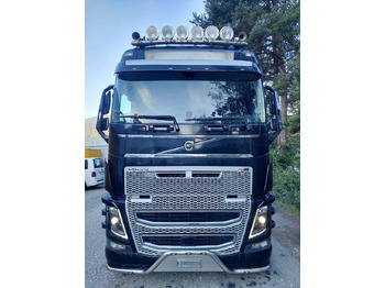 Leasing of  Volvo FH16-650 4x2, Euro 6, VEB, airbrush Volvo FH16-650 4x2, Euro 6, VEB, airbrush: picture 2