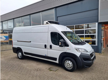 Refrigerated van FIAT Ducato Maxi