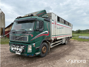 Livestock truck VOLVO FM9