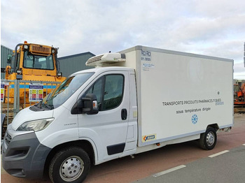Refrigerated van FIAT Ducato