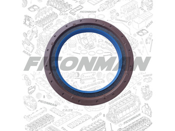 Engine gasket IVECO