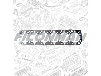 Engine gasket IVECO