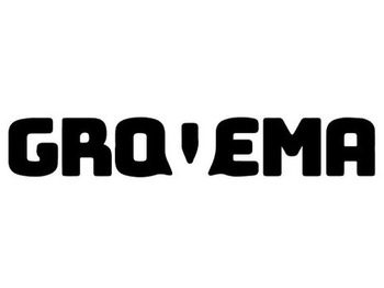 Hydraulic cylinder LIEBHERR