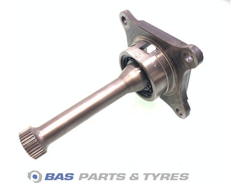 Axle and parts RENAULT